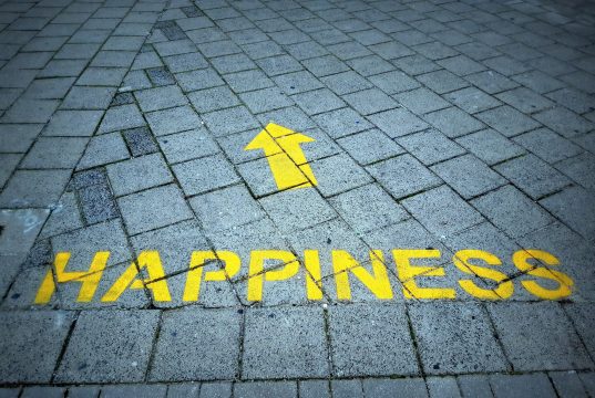 Is True Happiness Possible? Is True Happiness Possible